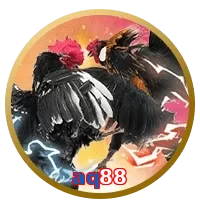 aq88